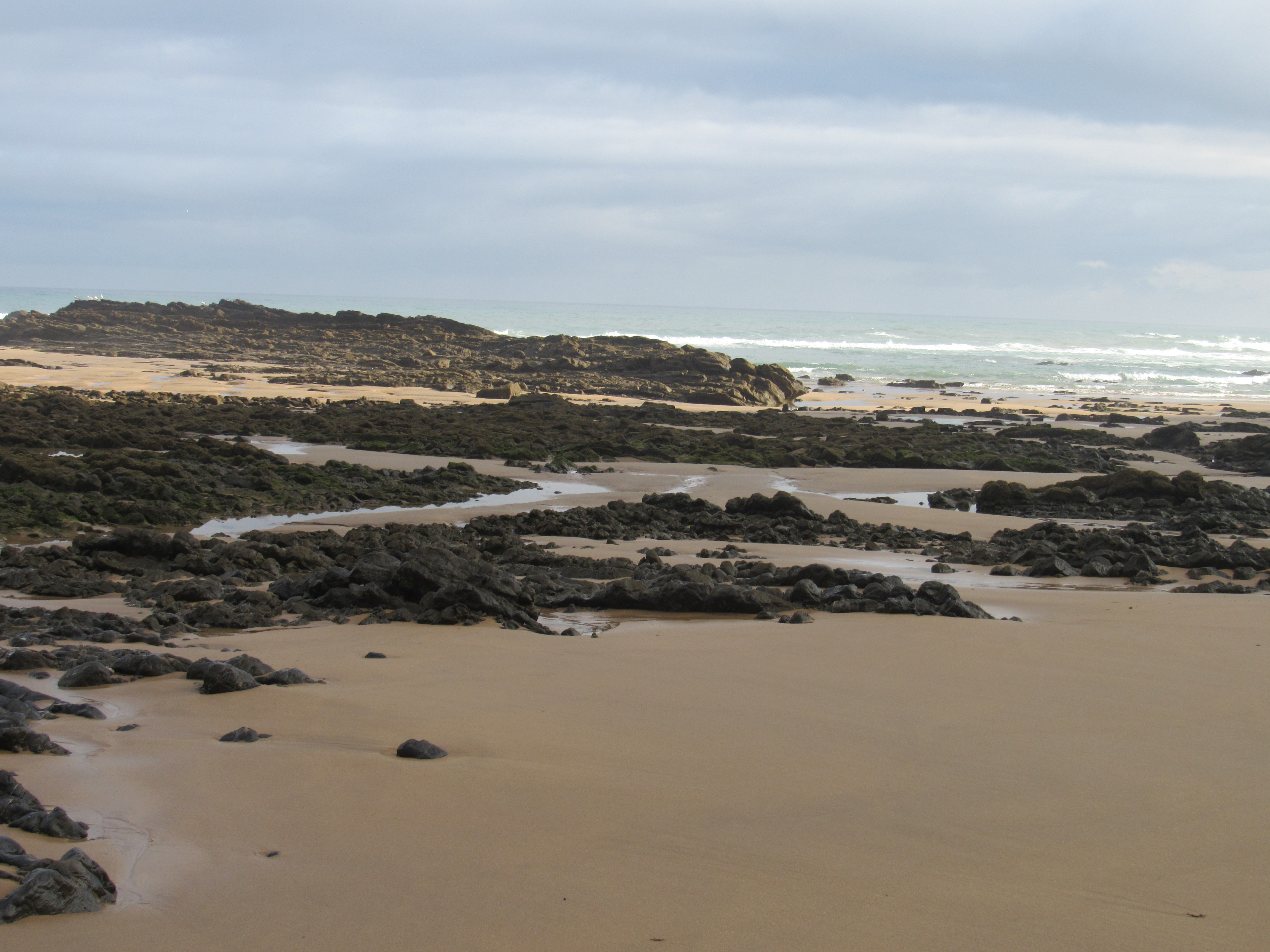 2017-09-04 01.40.24.jpg