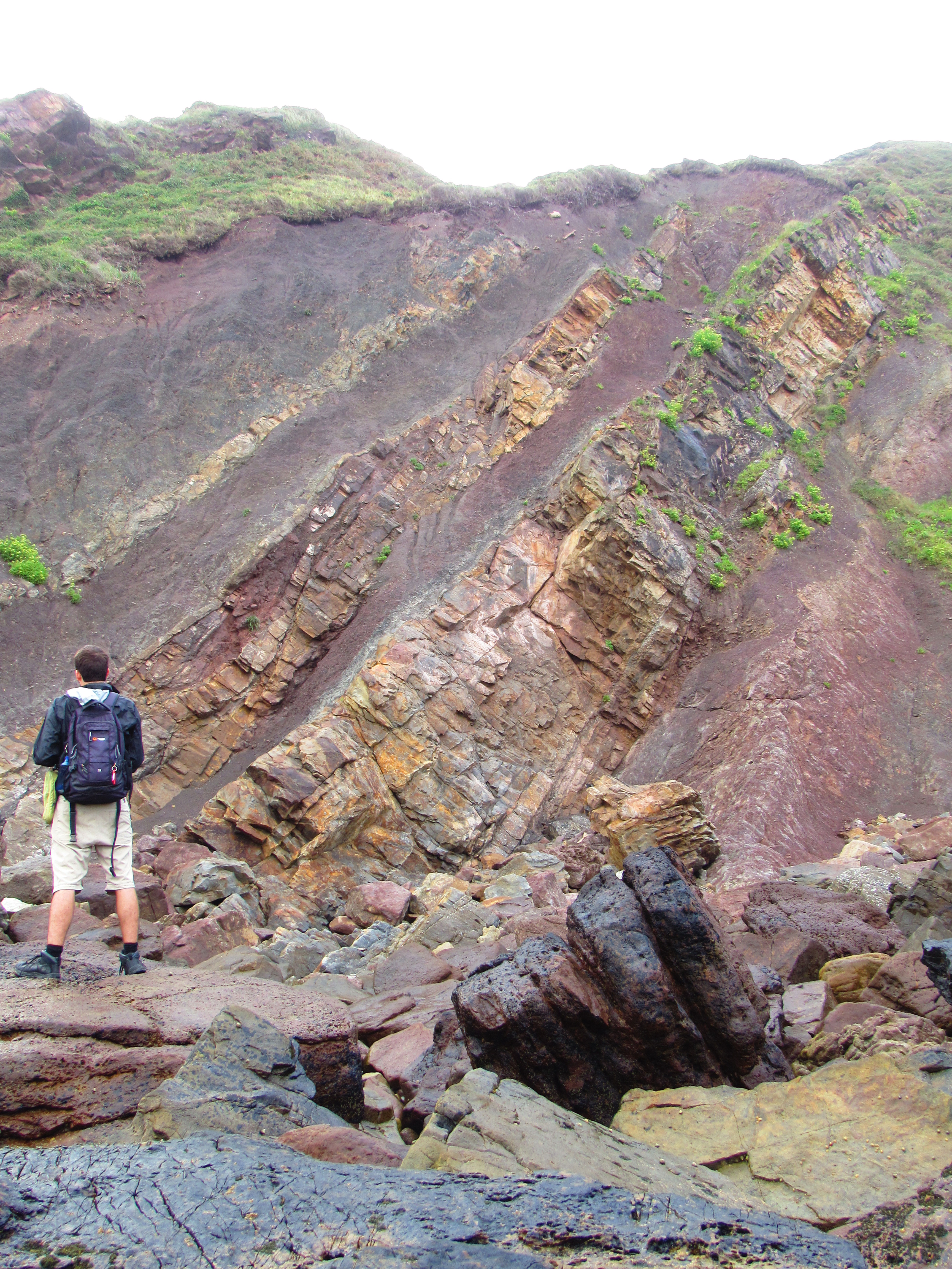 2017-09-04 01.59.09.jpg