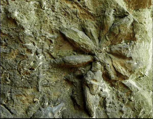 Screenshot 2019-04-24 11.43.17